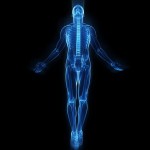 mainslide-032-300x300