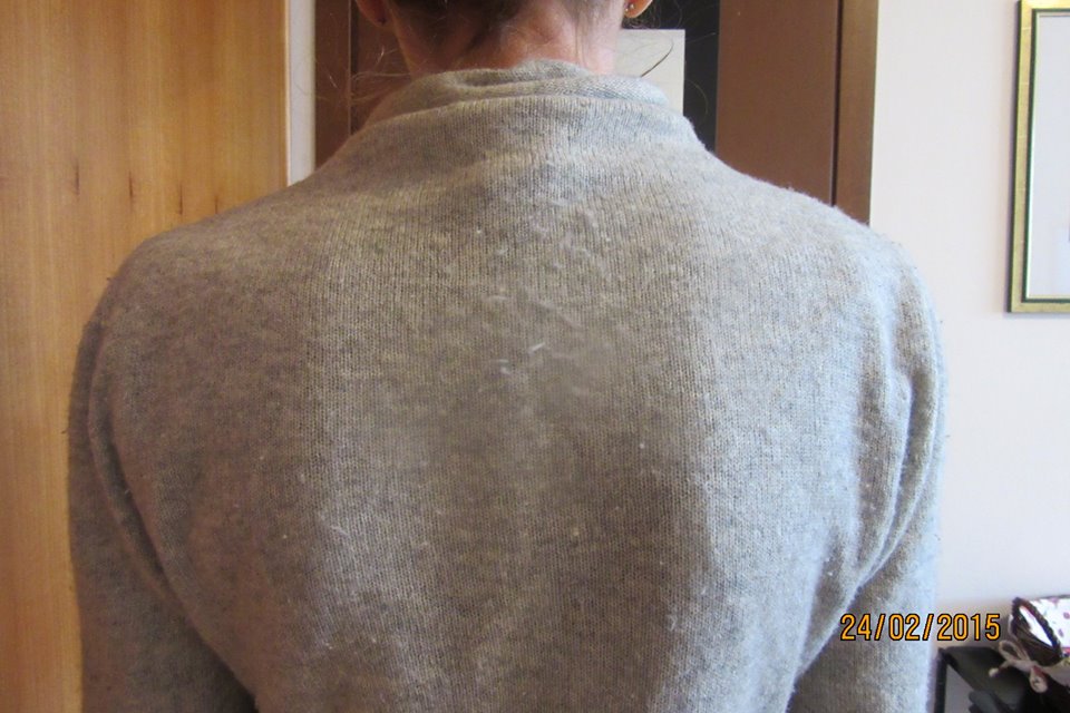 10999325_1546250872291938_13690903466516706_n