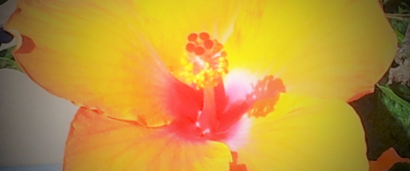 CONFERENZA GRATUITA, MEDA (MB), 30 GENNAIO 2016