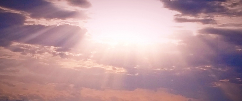 31 GENNAIOE 1 FEBBRAIO 2016, TRATTAMENTI REGGIO EMILIA